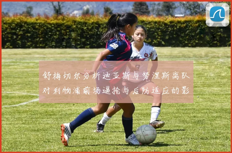舒梅切尔分析迪亚斯与努涅斯离队对利物浦前场逼抢与后防适应的影响